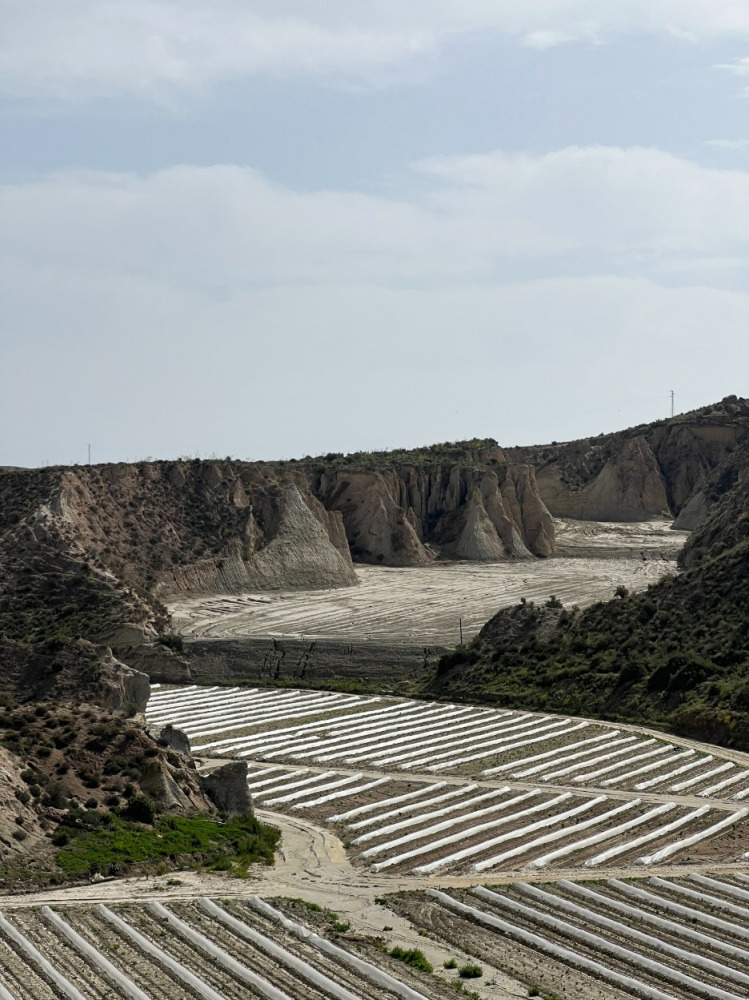 ANTAS paisaje