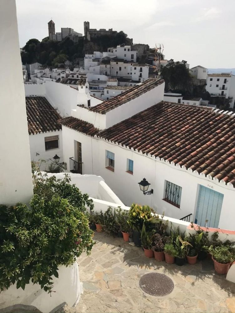 CASARES 4