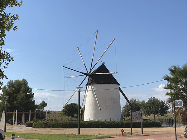 TP patrimonio