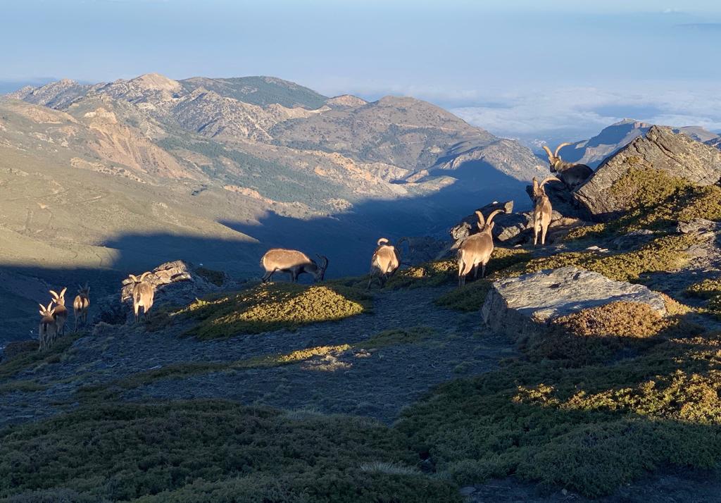 CUMBRE1