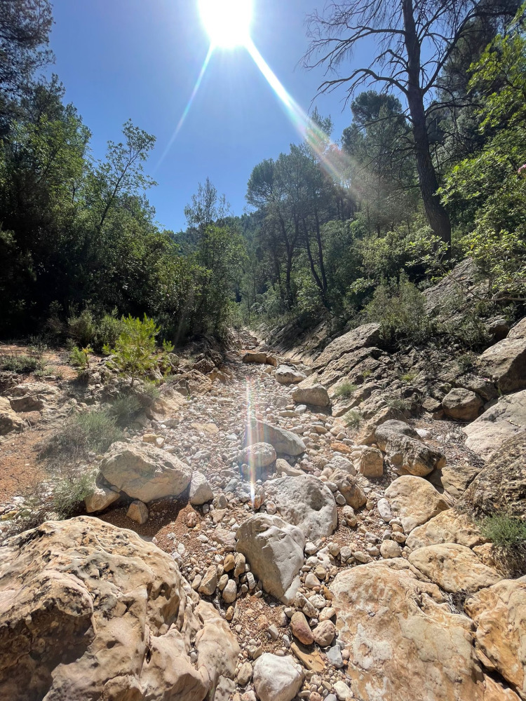 BUÑOL BARRANCO