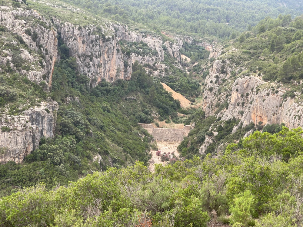 BUÑOL FORESTAL