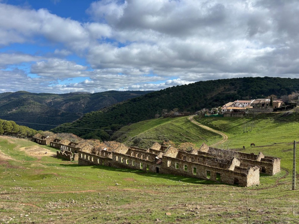 EL CENTENILLO