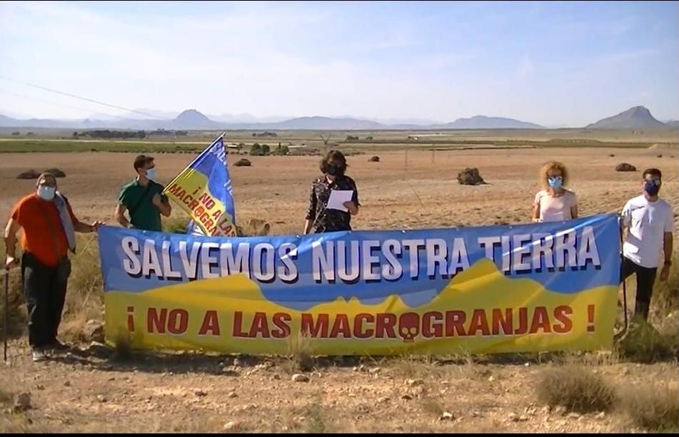 MACROGRANJAS 6