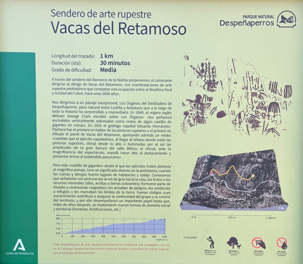 los organos plano