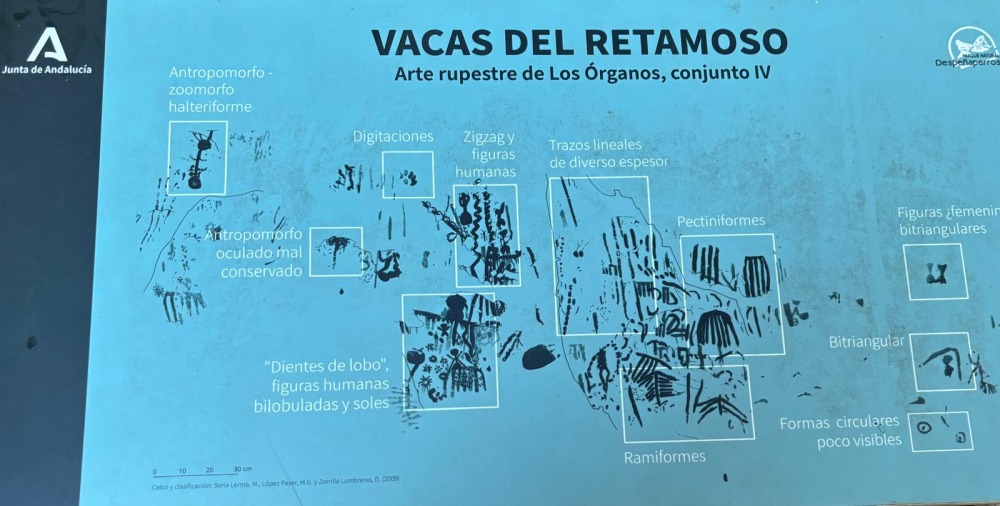 los organos vacas del retamoso