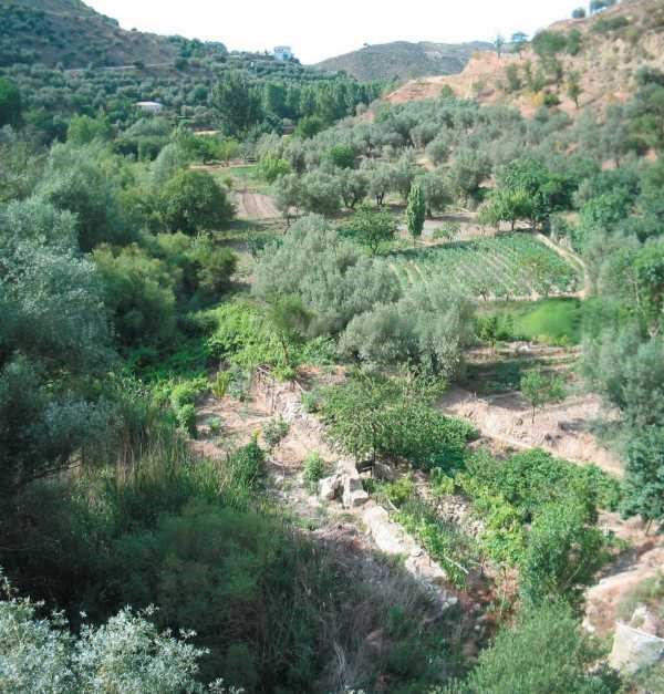 vallecastril