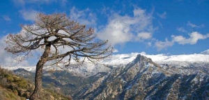SIERRA NEVADA, UN LABORATORIO DE EXCEPCIÓN PARA EL CAMBIO GLOBAL (I)