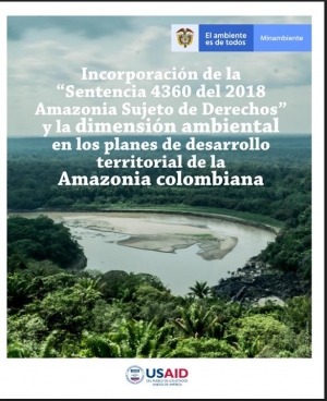 Los desafíos para lograr una Amazonía sostenible
