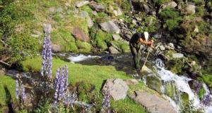 SIERRA NEVADA, UN LABORATORIO DE EXCEPCIÓN PARA EL CAMBIO GLOBAL (IV). El agua, motor de vida a 3.000m