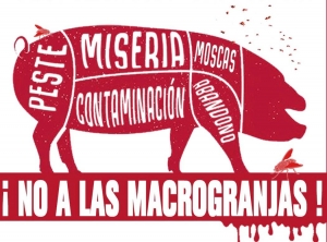 ¿Le llamamos DESARROLLO o más bien DESARROLLISMO?