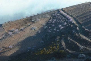 PAISAJE Y HÁBITAT