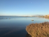 REFLEXIONANDO SOBRE LA RESERVA NATURAL DE PUNTA ENTINAS-SABINAR