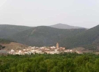 Debate con motivo del 20º Aniversario de los Espacios Naturales Protegidos de Andalucía