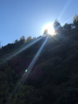 ARROJANDO LA LUZ, LA CLARIDAD Y LA SENSATEZ DE CADA DÍA