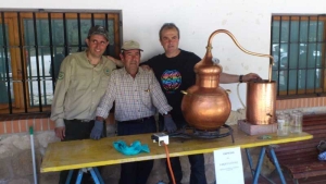 LA RESINERA DE ARENAS DEL REY
