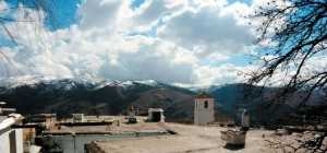 Los Terraos