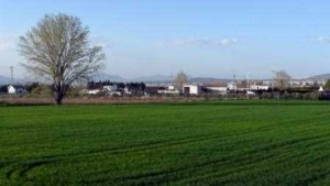 Diseño del PARQUE AGRARIO Y CULTURAL DE LA VEGA DE GRANADA a través de la investigación acción participativa