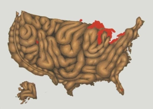 CARTOGRAFIA DEL DOLOR