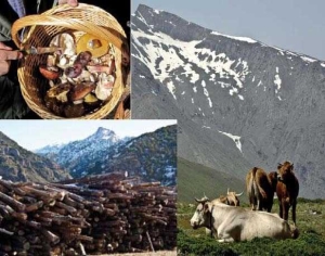 SIERRA NEVADA, UN LABORATORIO DE EXCEPCIÓN PARA EL CAMBIO GLOBAL (VII). Fuente de recursos