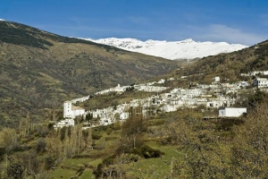 ¡MUCHÍSIMAS GRACIAS, ALPUJARRA!