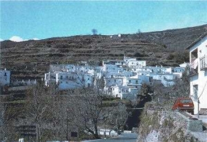 Arquitectura modulada